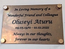 Aturu, Oluseyi (id=9699)